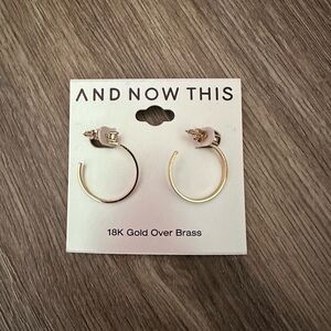 Gold Hoop Earrings